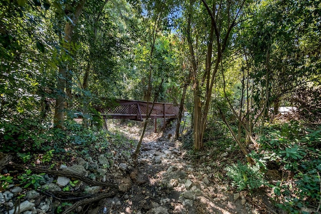 view of local wilderness