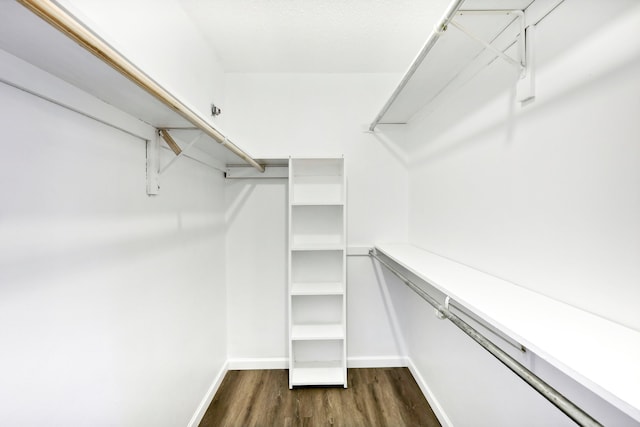 spacious closet with dark wood-type flooring