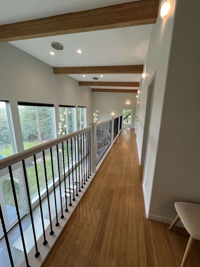 corridor featuring beam ceiling, hardwood / wood-style floors, and plenty of natural light