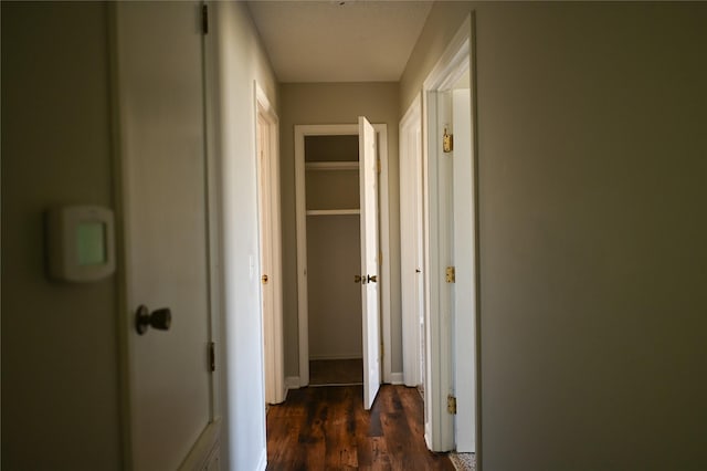 hallway with dark wood-style floors