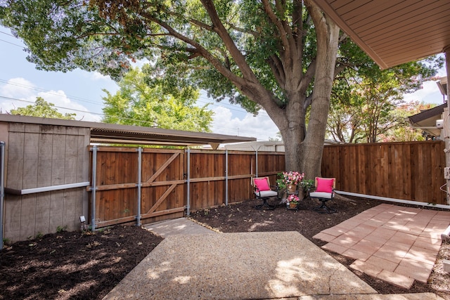 view of yard featuring a patio area