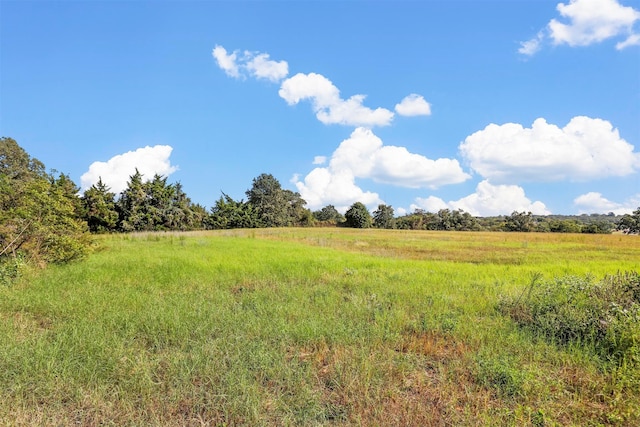 view of landscape with a rural view