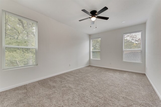 carpeted spare room with ceiling fan and a wealth of natural light