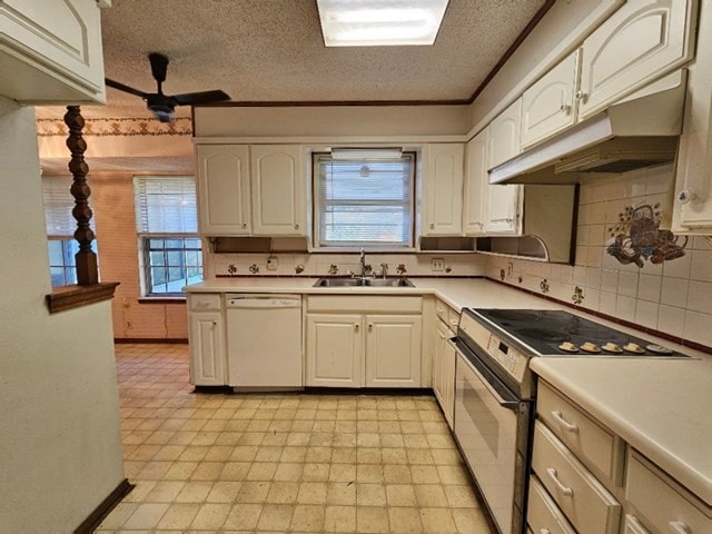 kitchen with electric stove, white dishwasher, ceiling fan, sink, and plenty of natural light