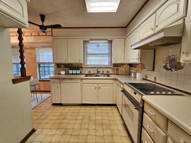 kitchen with ceiling fan, sink, dishwasher, stainless steel range with electric cooktop, and a wealth of natural light