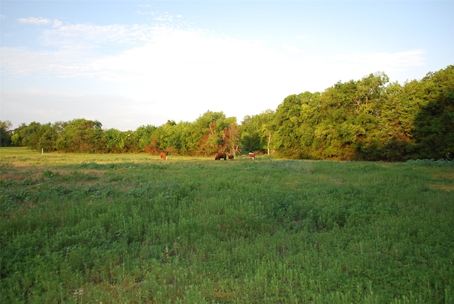 Listing photo 3 for 337 Smirl Ln, Heath TX 75032