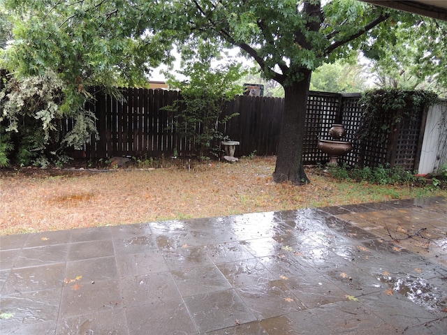 view of yard with a patio area