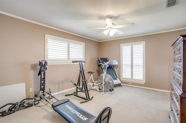 workout area featuring ornamental molding, ceiling fan, plenty of natural light, and carpet flooring