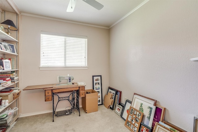 carpeted home office with ceiling fan and crown molding