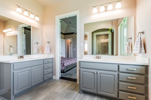 bathroom with hardwood / wood-style flooring and vanity