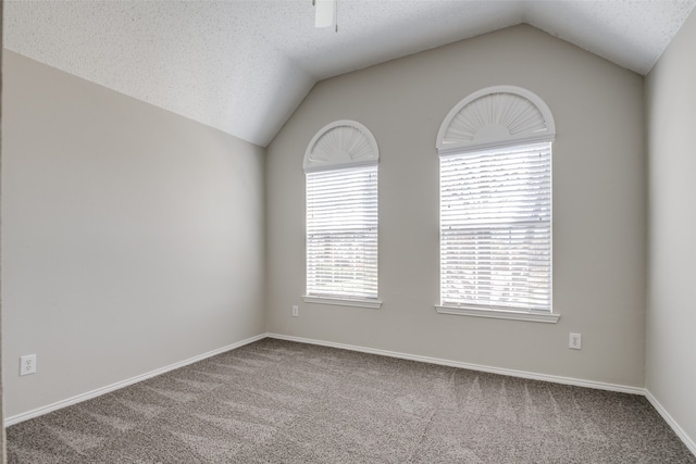 spare room with light carpet, a textured ceiling, and lofted ceiling