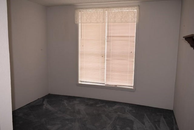 empty room featuring carpet floors