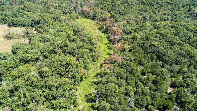 TBD133AC- Vz County Road 4701, Ben Wheeler, TX 75754