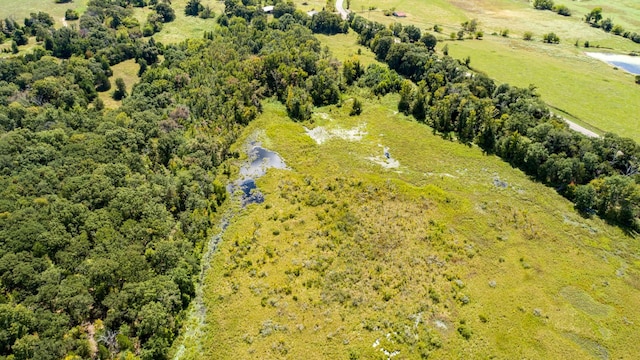 TBD133AC- Vz County Road 4701, Ben Wheeler, TX 75754
