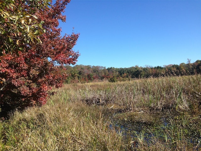 Listing photo 2 for TBD133AC- Vz County Road 4701, Ben Wheeler TX 75754