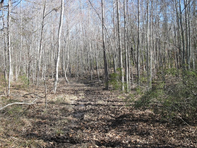 TBD133AC- Vz County Road 4701, Ben Wheeler, TX 75754