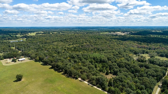 TBD133AC- Vz County Road 4701, Ben Wheeler, TX 75754