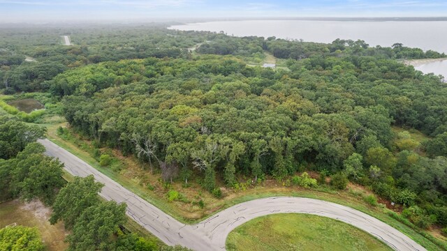 8407 Southern Shore Ct, Kemp TX, 75143 land for sale