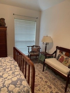 bedroom featuring lofted ceiling