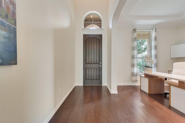 foyer featuring dark hardwood / wood-style flooring