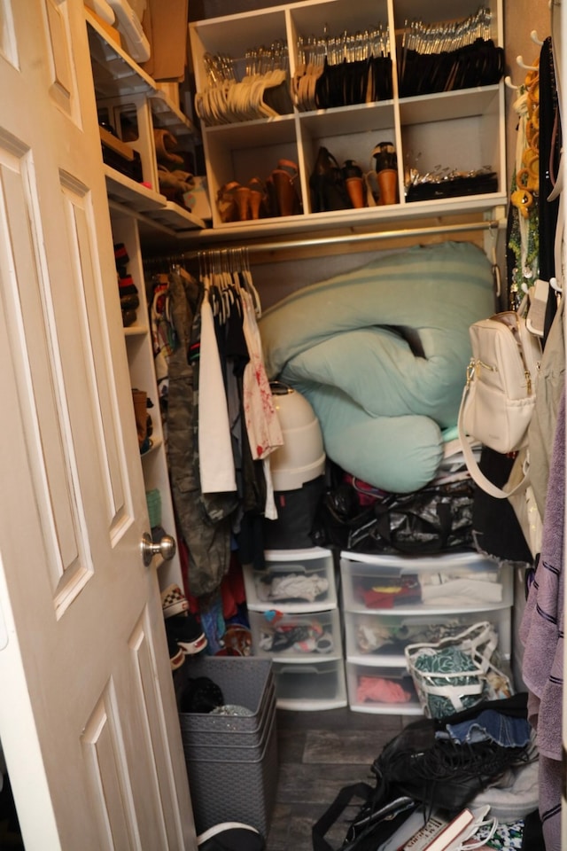 spacious closet with hardwood / wood-style flooring