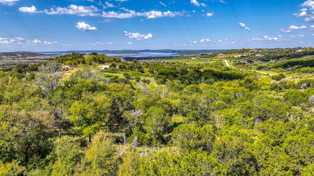 Listing photo 2 for TBD Blazing Star Court, Possum Kingdom Lake TX 76449