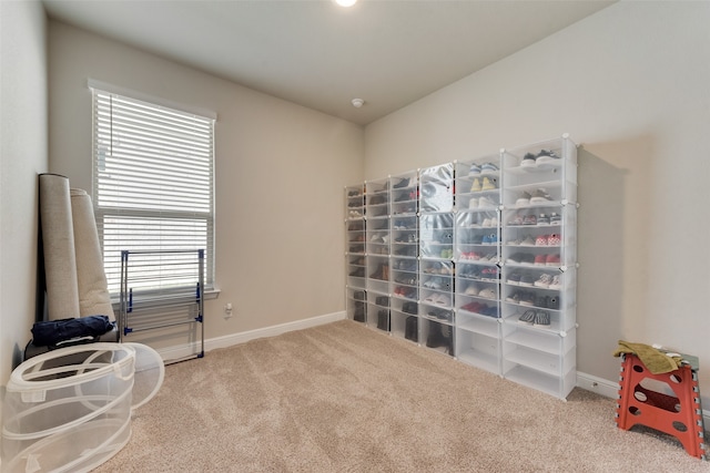 interior space featuring a wealth of natural light and light colored carpet