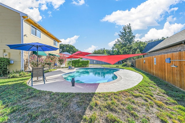 view of pool featuring a patio area and a yard