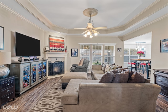 living room featuring ornamental molding, a tray ceiling, ceiling fan, and hardwood / wood-style flooring