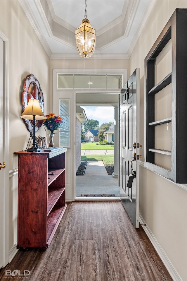 foyer with ornamental molding, a tray ceiling, a chandelier, and dark wood-type flooring