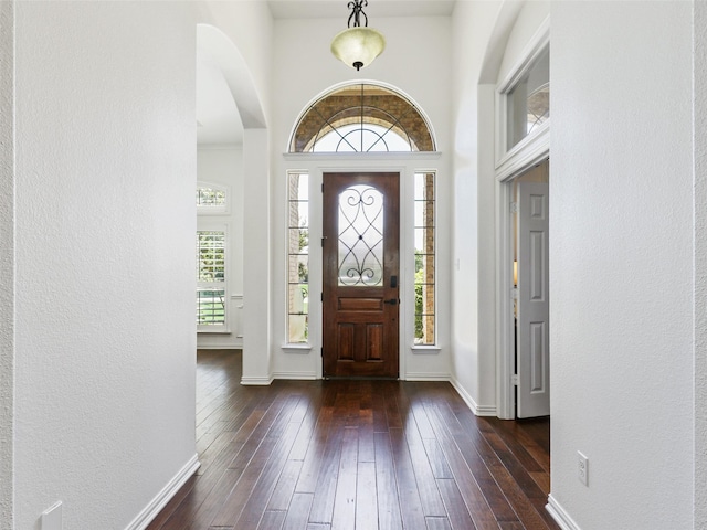 entrance foyer with dark wood-type flooring and a wealth of natural light