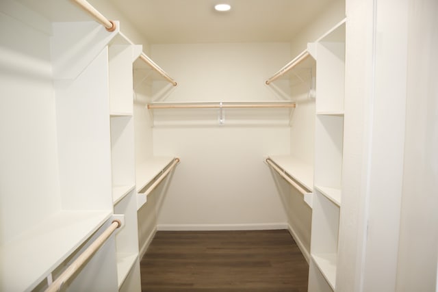 spacious closet featuring dark wood-type flooring