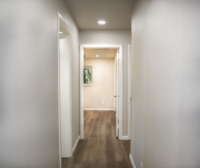 hallway with dark hardwood / wood-style floors