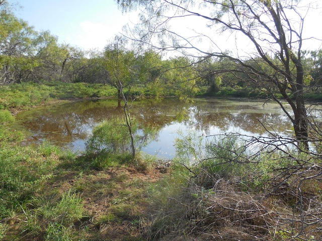 TBD County Road 340, Ranger TX, 76470 land for sale