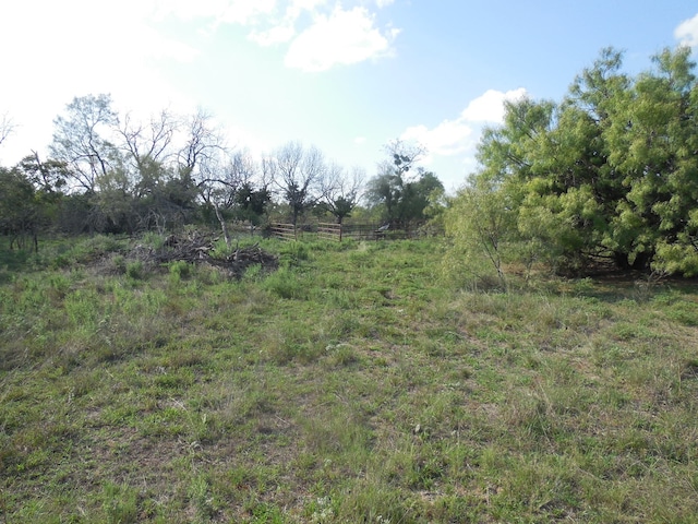 Listing photo 3 for TBD County Road 340, Ranger TX 76470