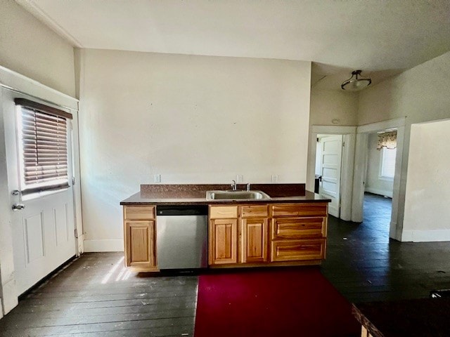 kitchen with dishwasher, dark hardwood / wood-style floors, sink, and a wealth of natural light