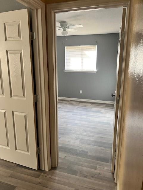 corridor with wood-type flooring