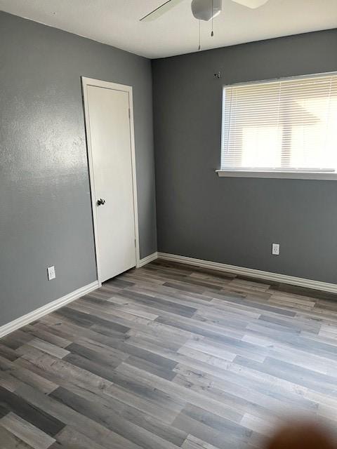 empty room featuring ceiling fan and wood-type flooring