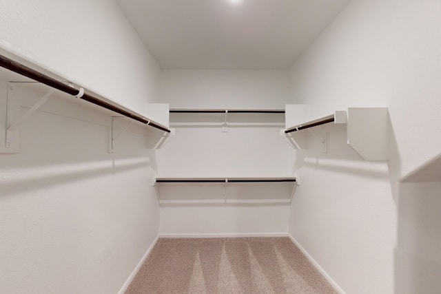 walk in closet with light colored carpet