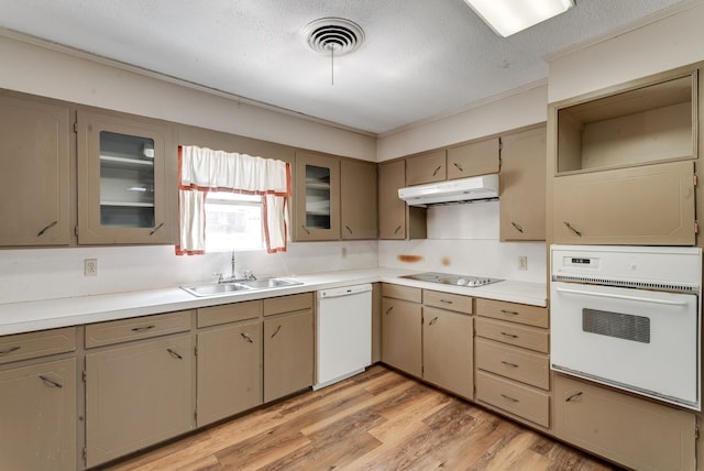 kitchen with sink, white appliances, a textured ceiling, and light hardwood / wood-style floors