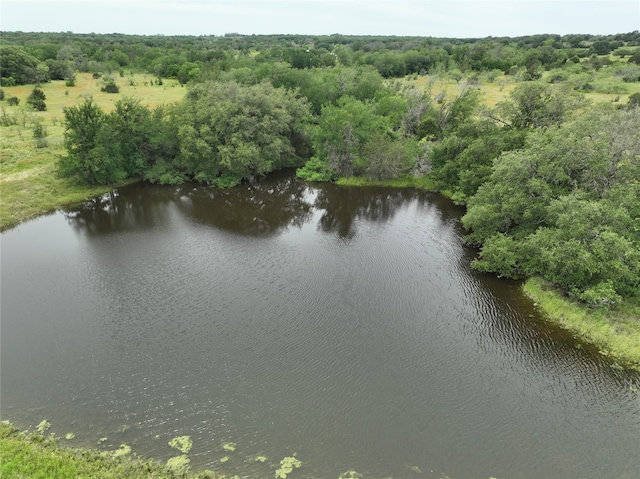 Listing photo 2 for TBD County Road 132, Hico TX 76457