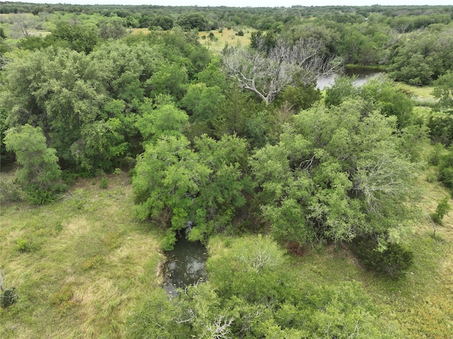 Listing photo 3 for TBD County Road 132, Hico TX 76457