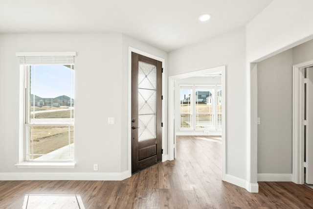 entrance foyer with dark hardwood / wood-style flooring and plenty of natural light