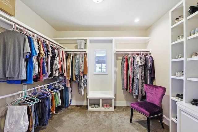 spacious closet with carpet