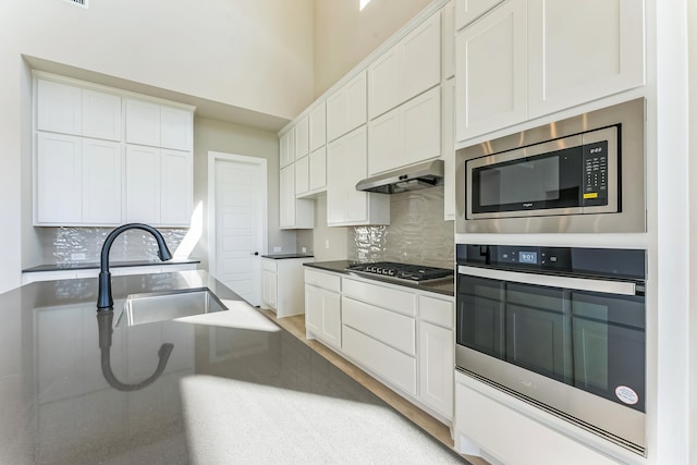 kitchen with white cabinetry, sink, stainless steel appliances, and ventilation hood