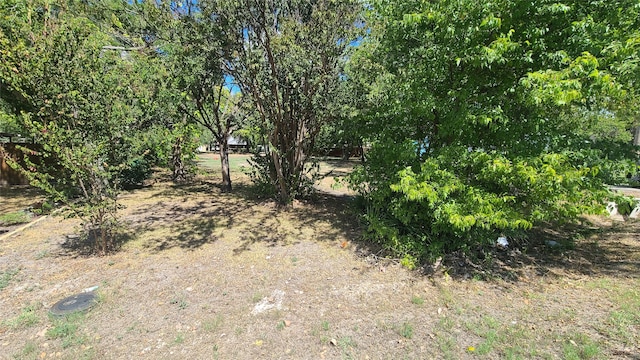 204 W College St, Princeton TX, 75407 land for sale