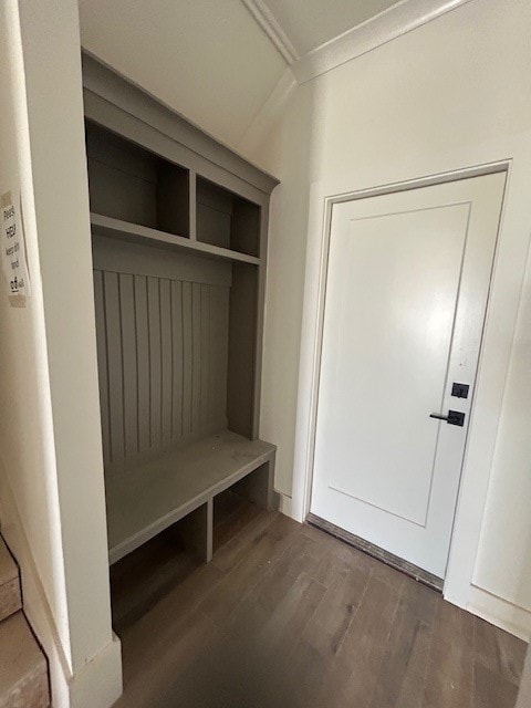 mudroom featuring dark hardwood / wood-style flooring