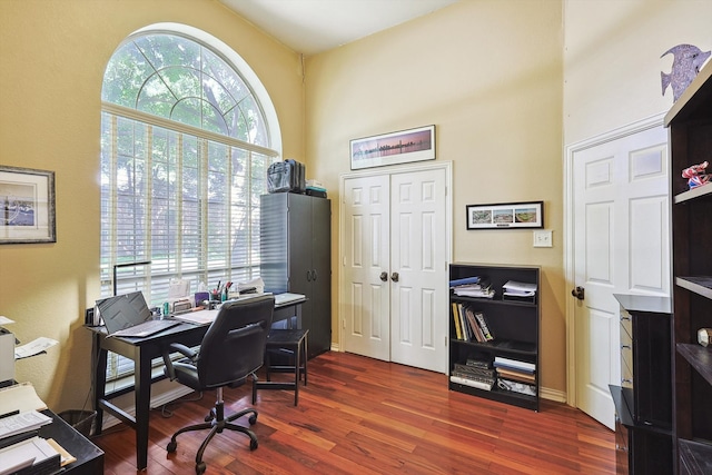 office space featuring dark hardwood / wood-style floors