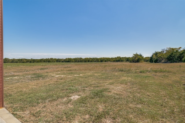 view of yard with a rural view