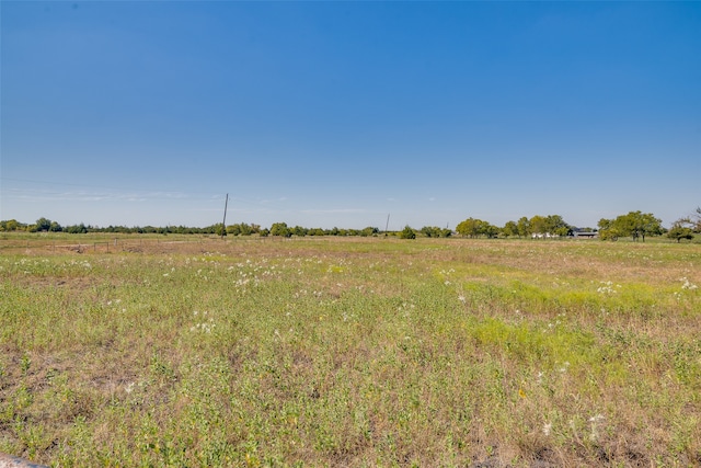 view of local wilderness with a rural view